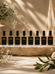The Zagirdar 12 ML Perfume Combo – 8 Premium Fragrances Gift Set for Men & Women